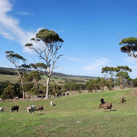 Back Valley Farmstay Bed And Breakfast ビクターハーバー エクステリア 写真