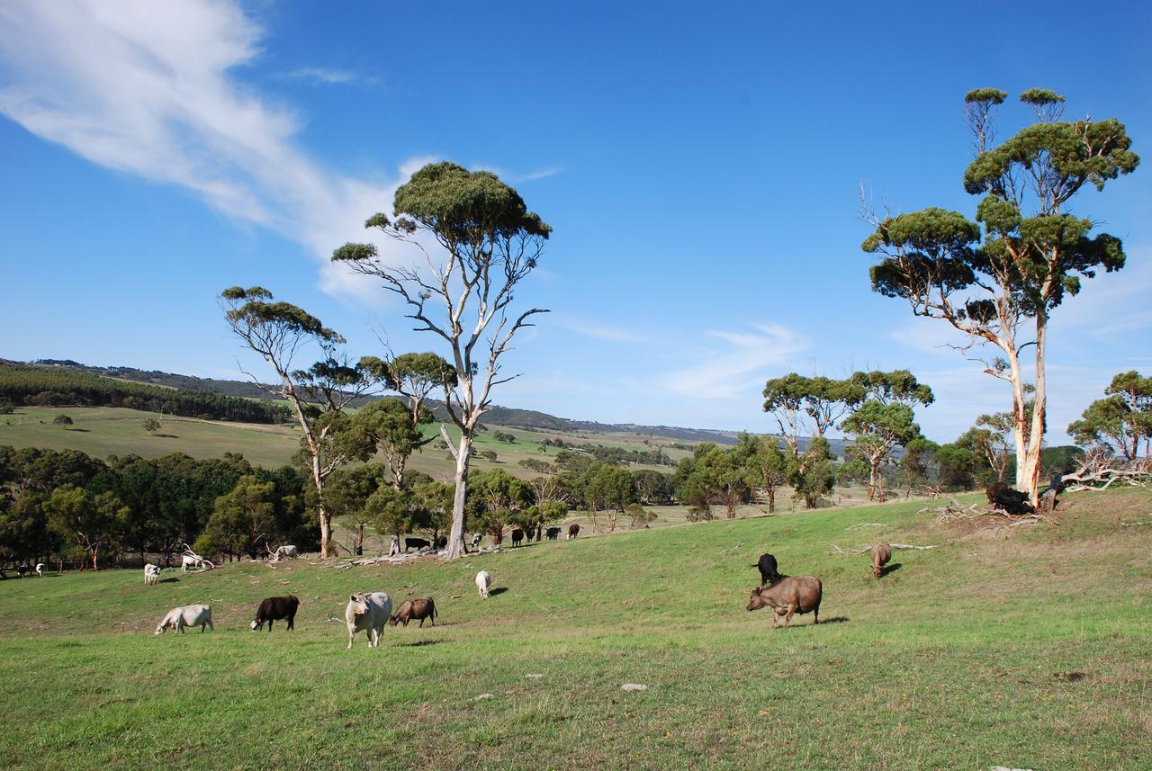 Back Valley Farmstay Bed And Breakfast ビクターハーバー エクステリア 写真